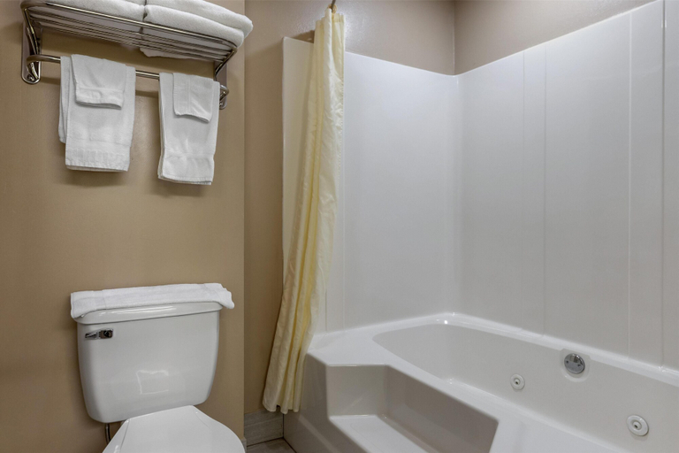 Bathroom 4, SureStay Plus Hotel By Best Western Poteau, Le Flore