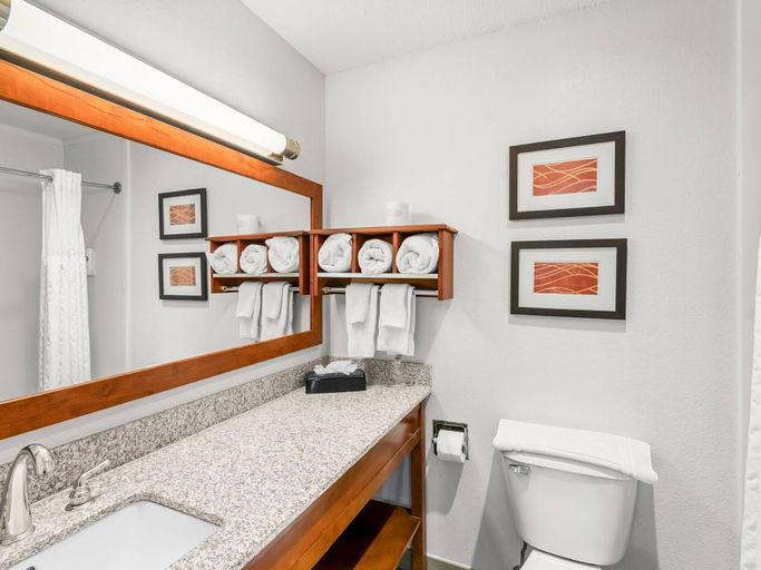 Bathroom 4, Comfort Inn & Suites Bellevue - Omaha Offutt AFB, Sarpy
