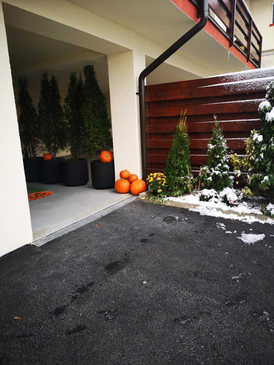 Others 4, Ariana house, Sinaia