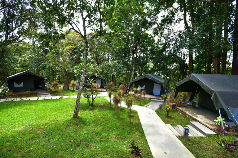 Others 4, Monica Garden Bungalow, Coimbatore