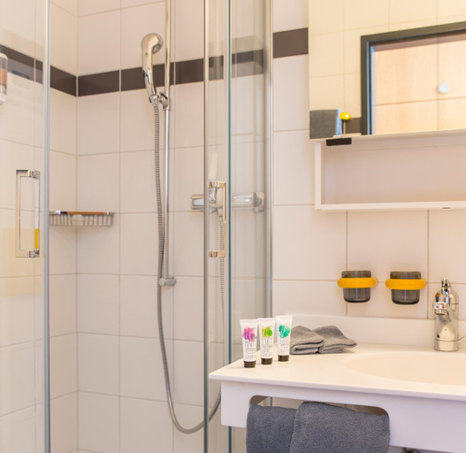 Bathroom 4, Smart-HOTEL MINUSIO, a Swiss Quality Hotel, Locarno