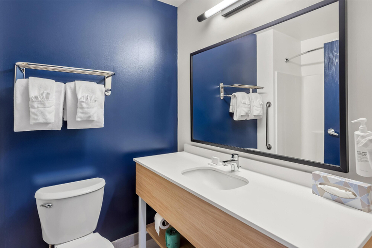 Bathroom 5, Spark by Hilton Oak Forest, Cook