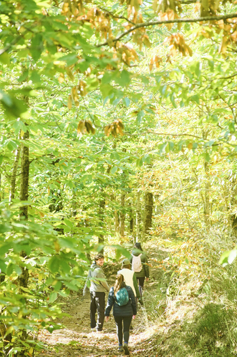Hiking, Lodge dello Scoiattolo, Lucca