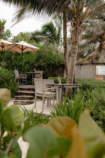 Room 5, Luxury Jungle Retreat Sleeps 10 Rooftop Pool, Cozumel