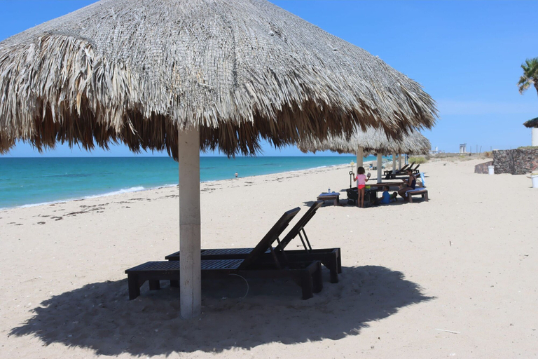 Room 2, Beachfront Condo With Pools Beach Access, Puerto Peñasco