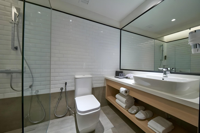 Bathroom 5, Aerotel Cebu, Lapu-Lapu City