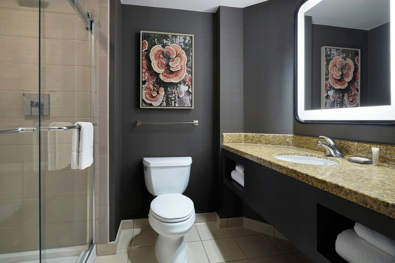 Bathroom 3, Denver Marriott South at Park Meadows, Douglas