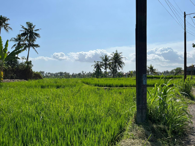 2, Villa Kaliko, Gianyar