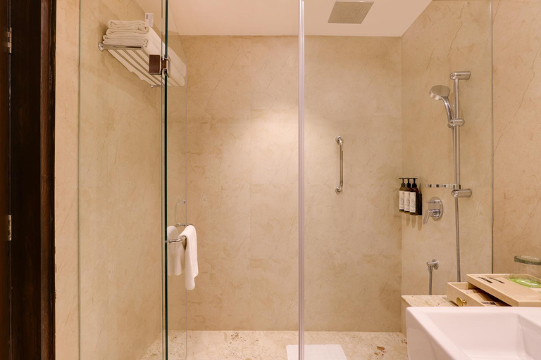 Bathroom 5, Saura Hotel, Agra, Agra
