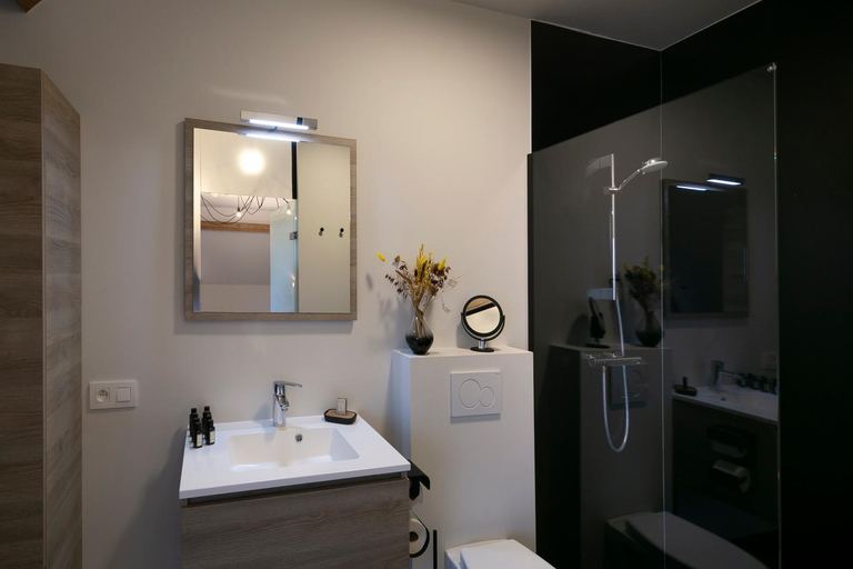 Bathroom 5, 't Convent, West-Vlaanderen