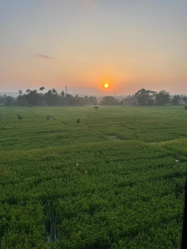 Others 5, Polaris- Kurunegala, Mallawapitiya