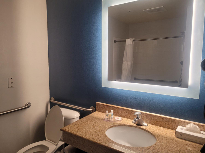 Bathroom 4, Comfort Inn & Suites Dothan Northside Plaza, Houston