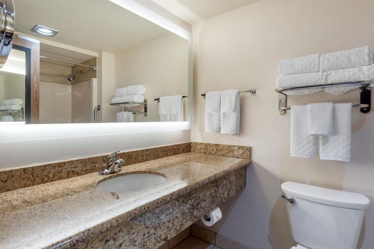 Bathroom 4, Best Western Plus Oak Harbor Hotel & Conference Center, Island