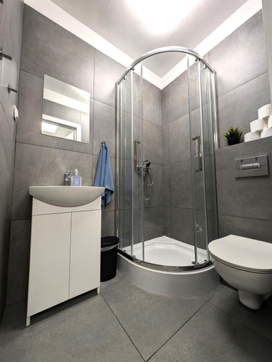 Bathroom 3, Baraczek Lotnisko Leszno, Leszno City