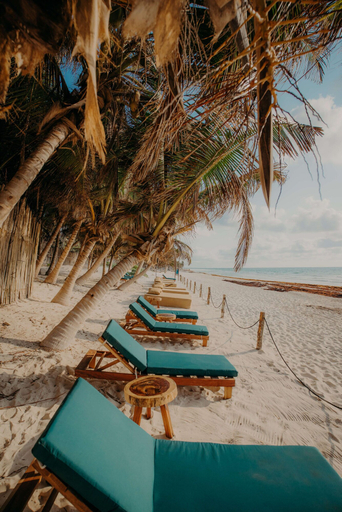 Room 5, Hidden Gem With Private Pool and Rooftop Terrace, Cozumel