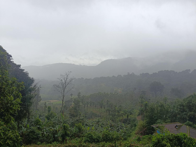 Others 4, Suvrana Mountain View Stay, Kodagu
