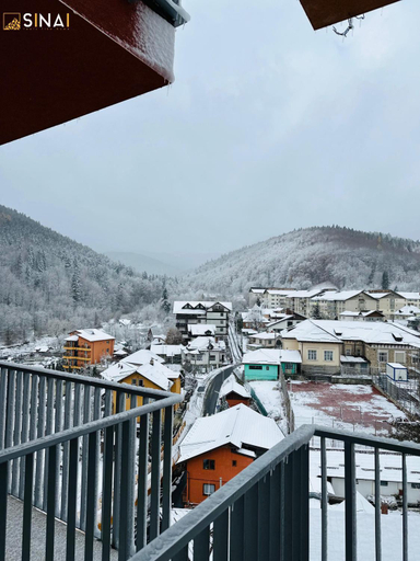Others 5, SINAI APH Apartments, Sinaia