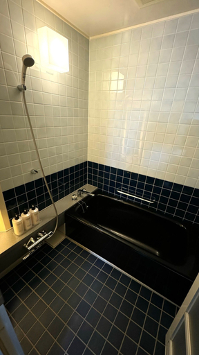 Bathroom 4, Hagi No Yado Tomoe, Hagi