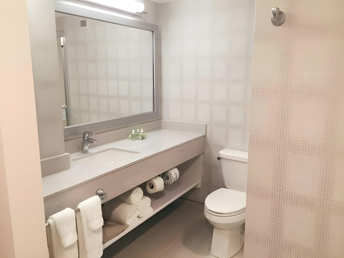 Bathroom, Holiday Inn Airport West, Division No. 11
