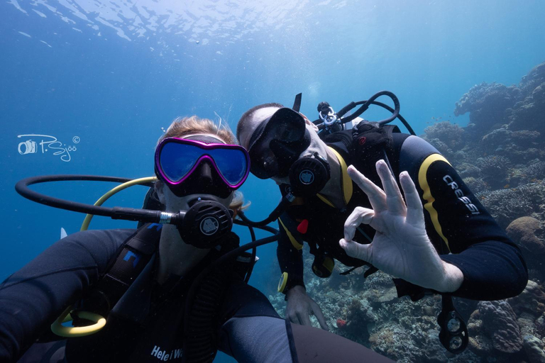 Others 4, Divers Lodge, Moalboal