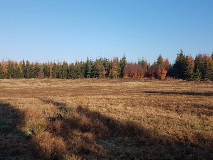 Miscellaneous 4, 4 Person Holiday Home in Skaerbaek, Tønder
