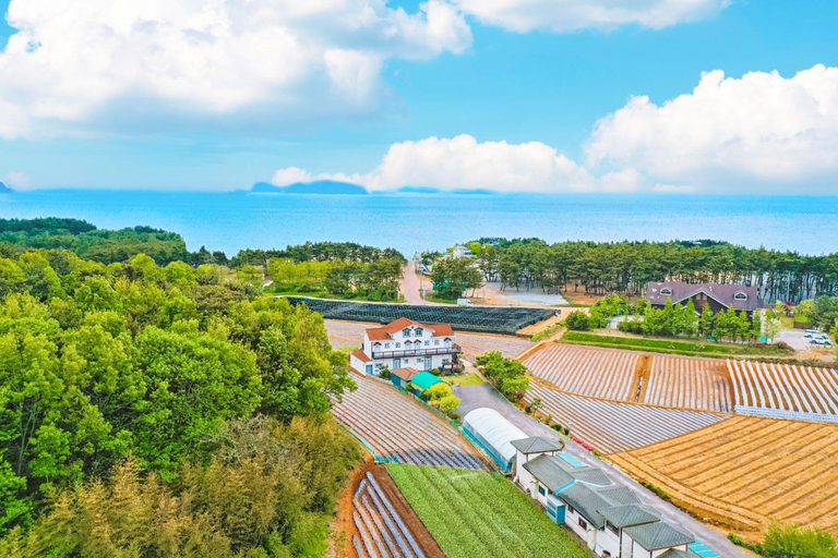 Others 3, Poeguenhan Pension, Taean