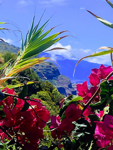 Others 5, Bluegreen, Calheta