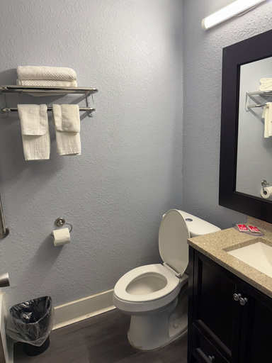 Bathroom 4, Econo Lodge Montgomery South I-65, Montgomery