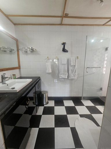 Bathroom 4, Tree of Life Lakeside Cottage Srinagar, Srinagar