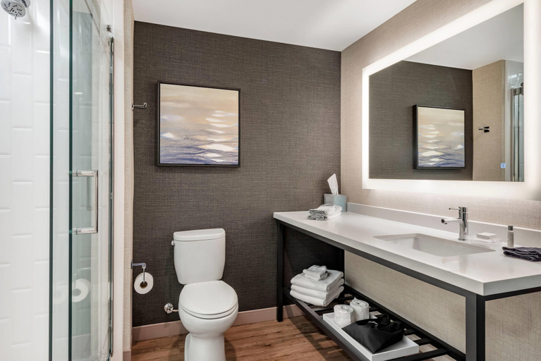 Bathroom 4, Cambria Hotel Minneapolis Downtown, Hennepin