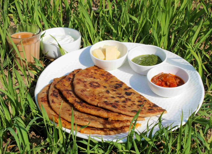 Food & Drinks 5, The Himaal Bir, Kangra