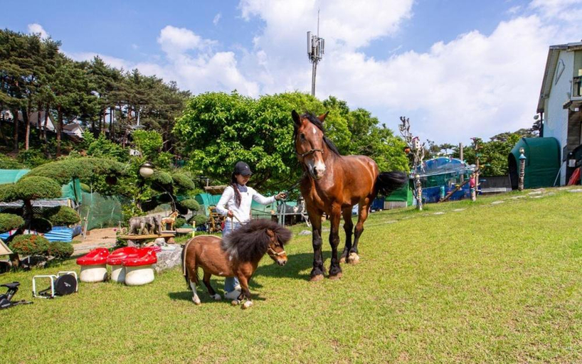 Others 3, Taean Secret Garden, Taean