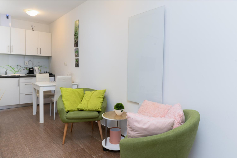 Others 3, Castle view Terrace AC apartment, Ljubljana
