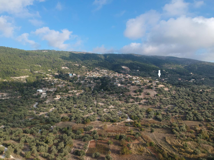 Food & Drinks, Aloni Studios & Apartments, Ionian Islands