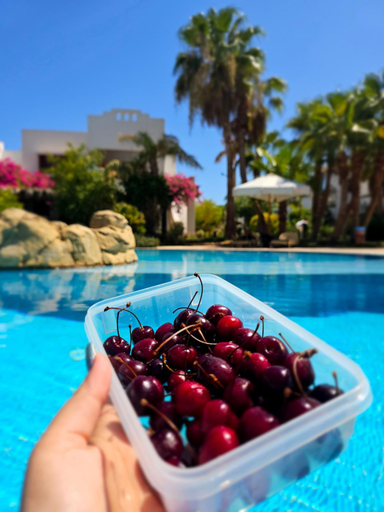 Food & Drinks 5, Blue Bay Apartments Delta Sharm, Sharm el-Sheikh
