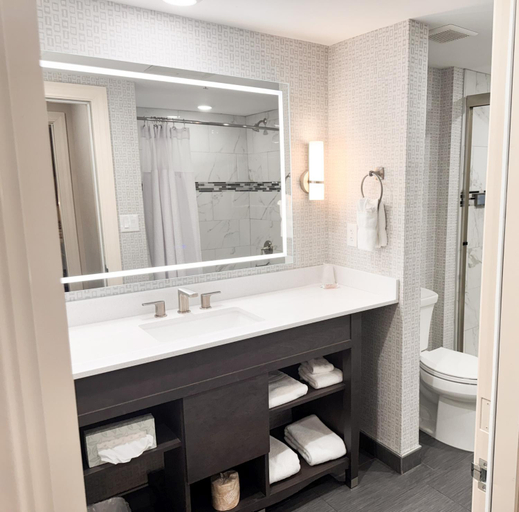 Bathroom 4, Clayton Plaza Hotel & Extended Stay, Saint Louis
