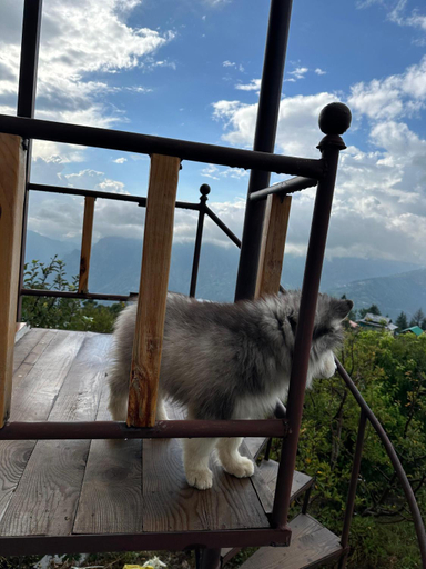 Others 4, Stargaze with Rio, Glass-Lodge in Thachi Valley, Mandi