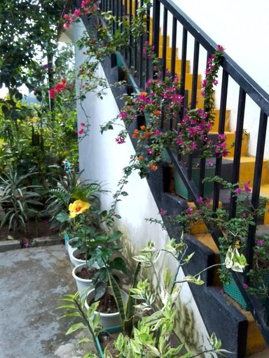 Others 4, Charming View Homestay, Ella