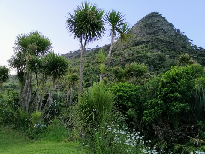 Others 4, Piha Beachstay Accommodation, Waitakere