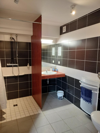 Bathroom 5, Auberge Des Colettes, Allier