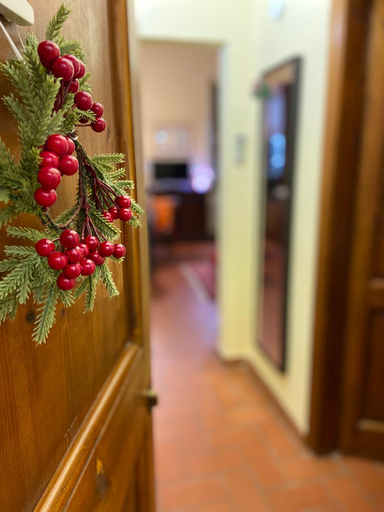 Others 3, Florentine Soul Apartment - Santo Spirito, Florence