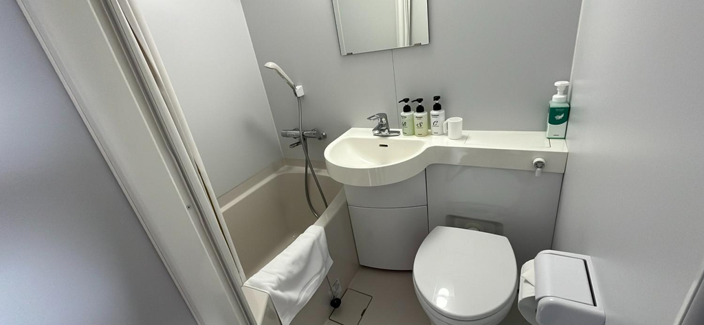 Bathroom 5, World Business Hotel, Iida