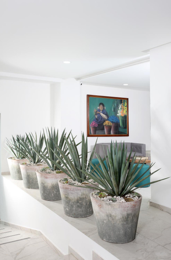 Public Area 3, Hotel Circulo Condesa, Mexico City
