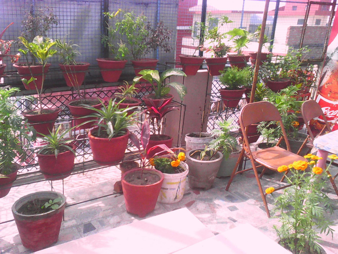 Others 5, Leela Guest House, Chandauli