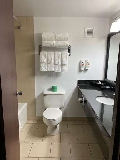 Bathroom 4, The Atrium Hotel on Third, Adams