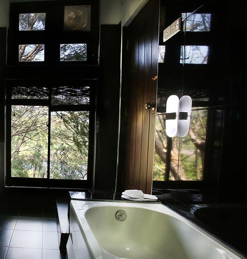Bathroom 3, Castle palace kandy, Medadumbara