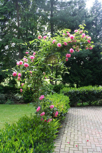 Others 3, Hotel Beukenhorst, Gulpen-Wittem