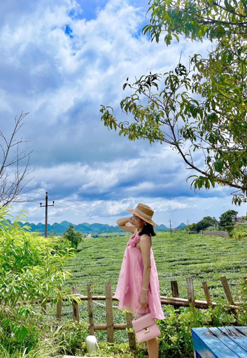 Others 4, SAKURA House Cherry Blossom, Mộc Châu