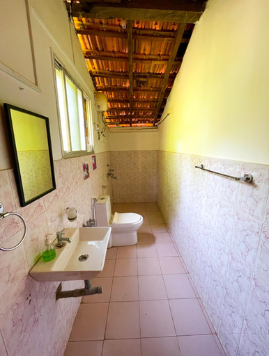 Bathroom 3, Spaceland, North Goa