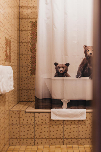 Bathroom 3, Hotel Baren, Feldkirch